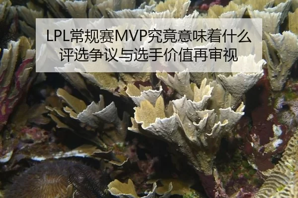 LPL常规赛MVP究竟意味着什么 评选争议与选手价值再审视